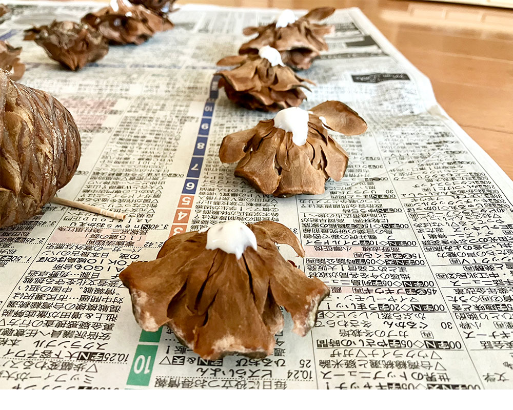 剥離防止処理したシダーローズ